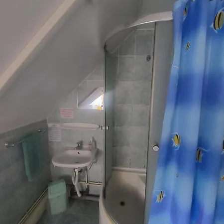 Hangya Panzio Bed & Breakfast *