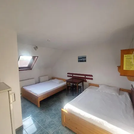 Hangya Panzio Bed & Breakfast Tîrgu Secuiesc
